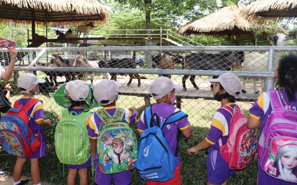 ทัศนศึกษา ระดับชั้นอนุบาล 1 - ประถมศึกษาปีที่ 6